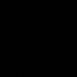 Meet your Posher, Samia